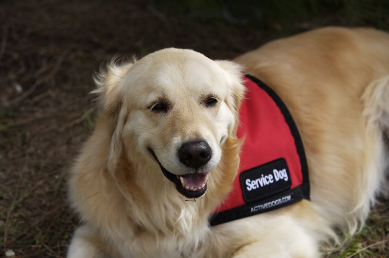 あなたに便利な便利屋さん「便利屋TT」 何でも承ります! 東京23区/埼玉/千葉